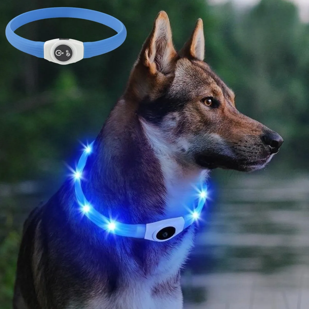 Tech Dog Accessories - Nowa Led Luminous Obroża dla psa