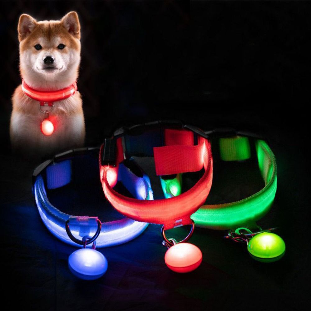 Obroża dla psa z podświetlenie – Tech Dog Accessories recenzja i cena