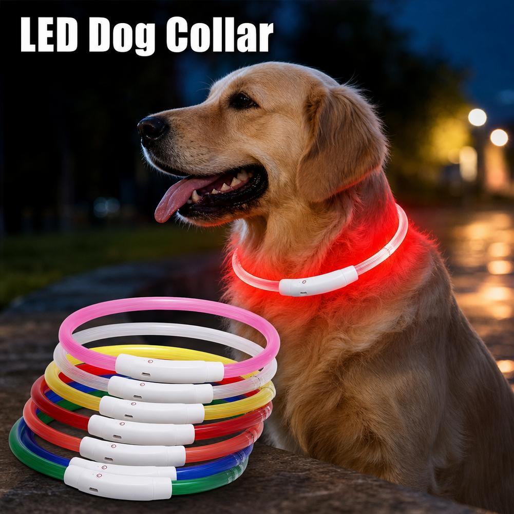 Świecąca obroża dla psa, wodoo – Tech Dog Accessories recenzja i cena