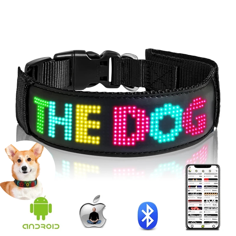 Wielokolorowe obroże LED dla p – Tech Dog Accessories recenzja i cena