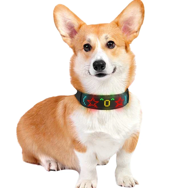 Wielokolorowe obroże LED dla p – Tech Dog Accessories recenzja i cena
