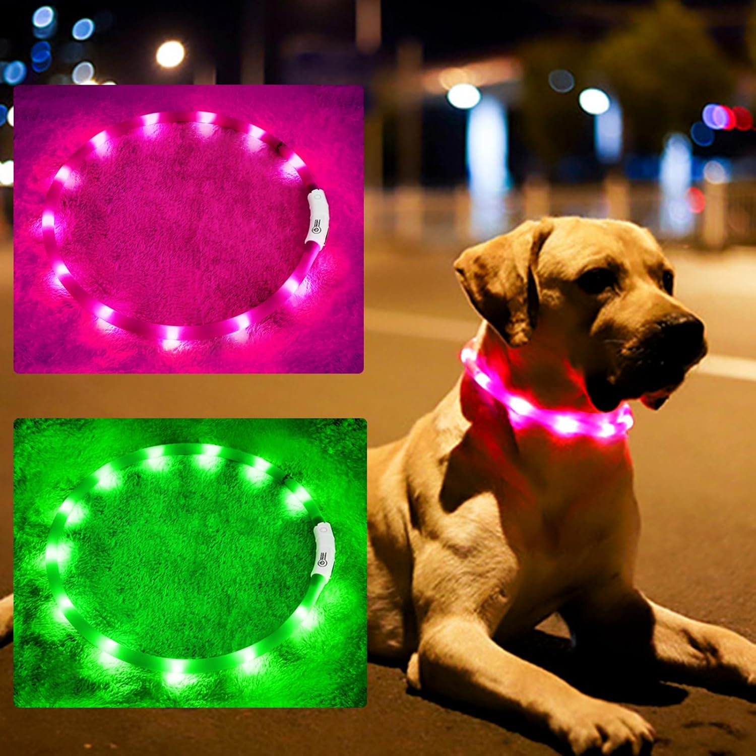 Silikonowa obroża LED dla psa, – Tech Dog Accessories recenzja i cena