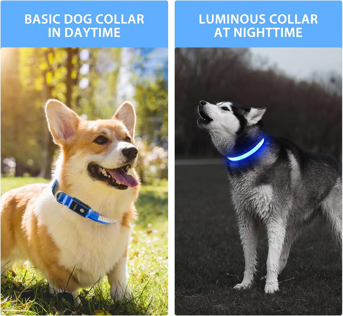 Świetlne obroże LED dla psów z – Tech Dog Accessories recenzja i cena