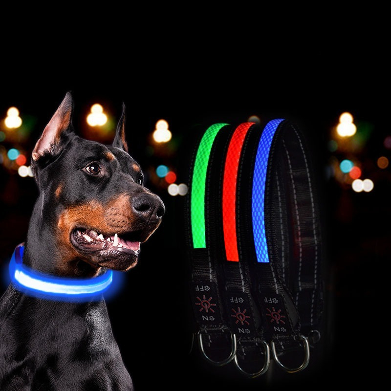 Świetlne obroże LED dla psów z – Tech Dog Accessories recenzja i cena