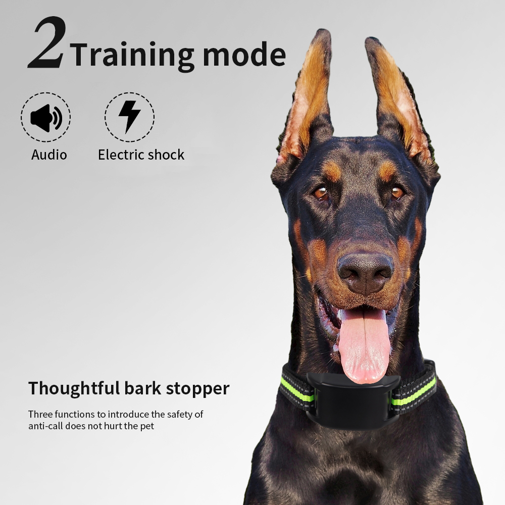 Elektryczna obroża antyszczeko – Tech Dog Accessories recenzja i cena