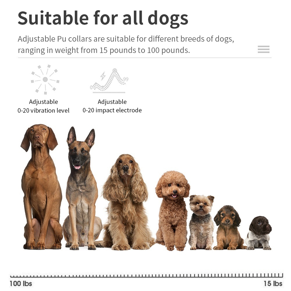 Elektryczna obroża antyszczeko – Tech Dog Accessories recenzja i cena