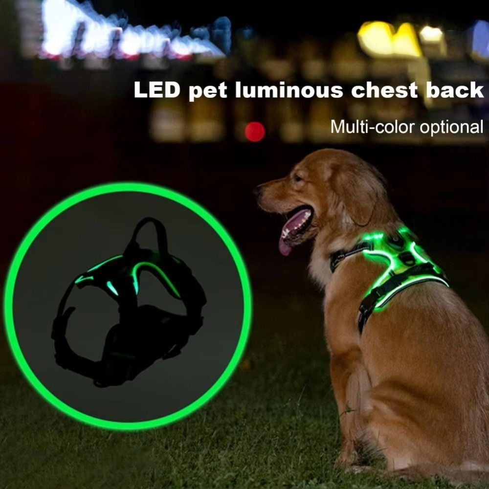 Wytrzymała, świecąca uprząż LE – Tech Dog Accessories recenzja i cena