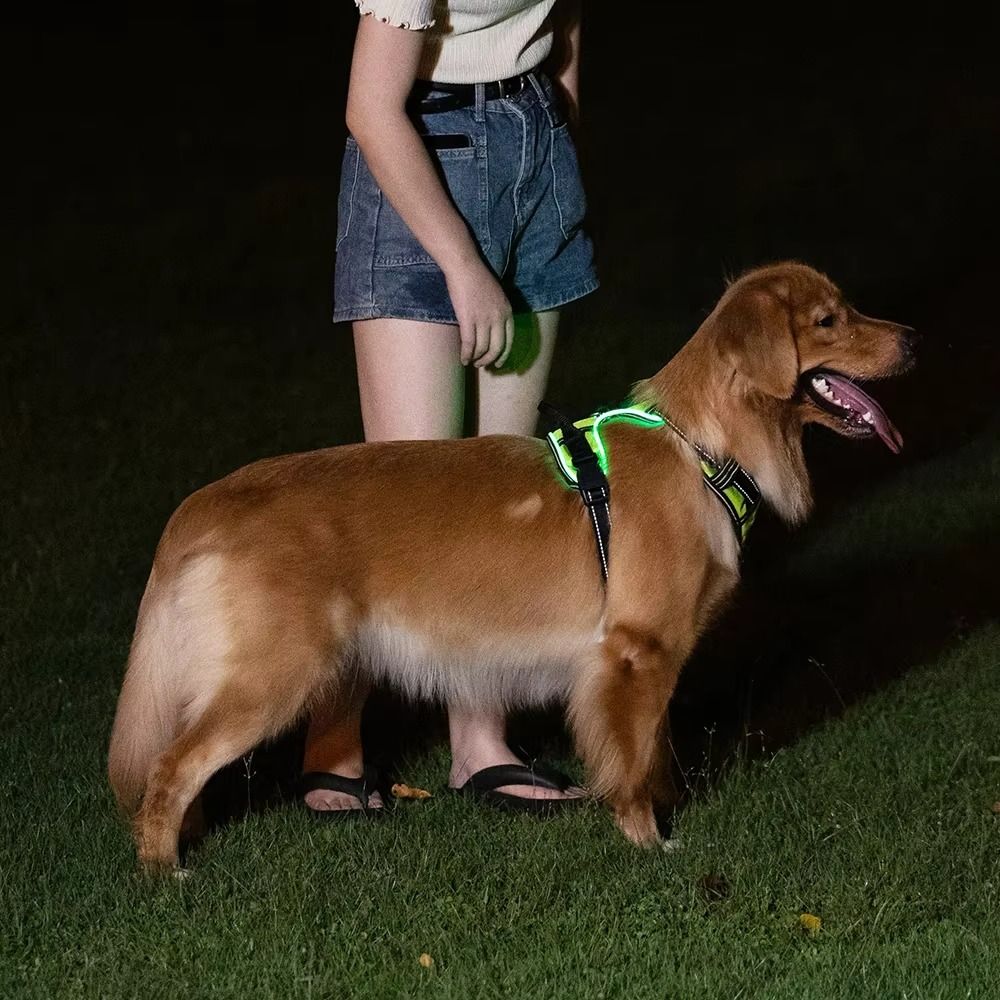 Wytrzymała, świecąca uprząż LE – Tech Dog Accessories recenzja i cena