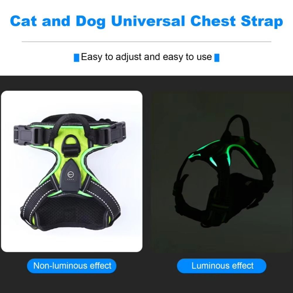 Wytrzymała, świecąca uprząż LE – Tech Dog Accessories recenzja i cena