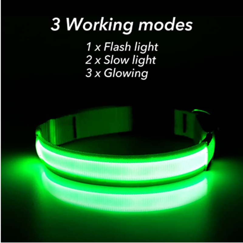 Obroża LED dla psa zasilana pr – Tech Dog Accessories recenzja i cena