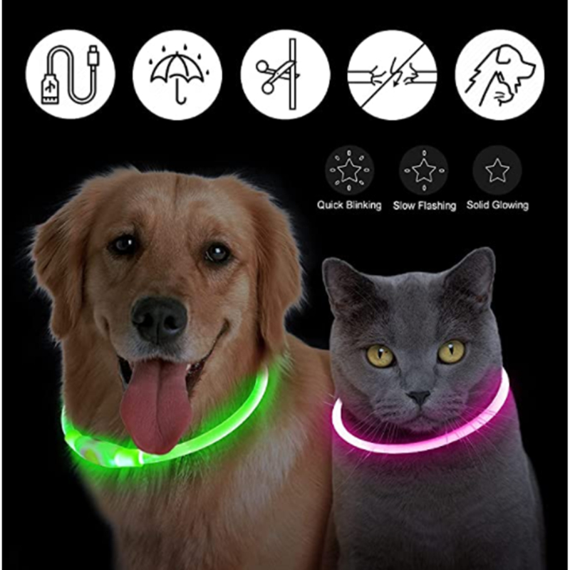 Obroża LED dla psa zasilana pr – Tech Dog Accessories recenzja i cena