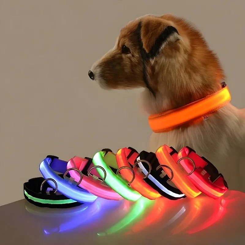 Obroża dla psa nylonowa LED no – Tech Dog Accessories recenzja i cena
