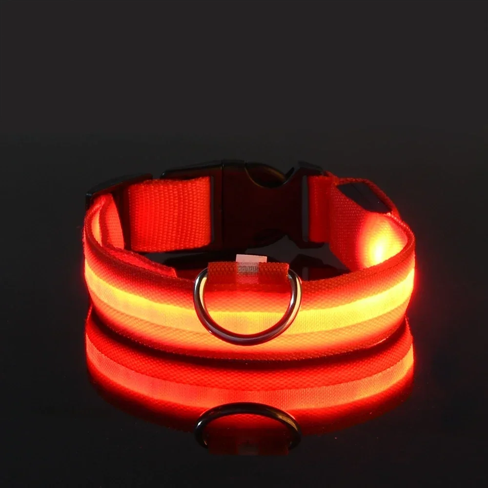 Obroża dla psa nylonowa LED no – Tech Dog Accessories recenzja i cena