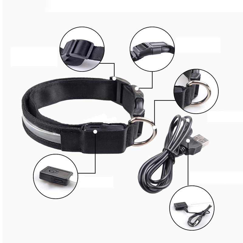 Grawerowana obroża dla psa LED – Tech Dog Accessories recenzja i cena